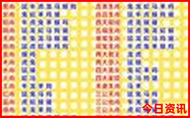 猪八戒香港今晚资料